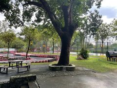 -观澜湖生态运动公社