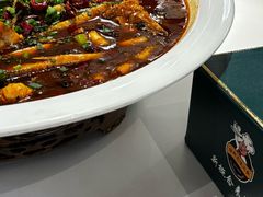 -新概念来凤鱼(璧山店)