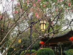 -深业半汤御泉庄温泉