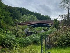 -云溪植物园