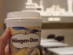 -哈根达斯(深圳海岸城店)