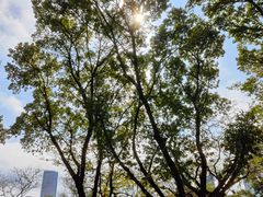 -人民公园(罗湖区)