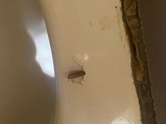-北京华联购物中心(天通苑店)