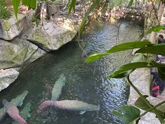-青青世界