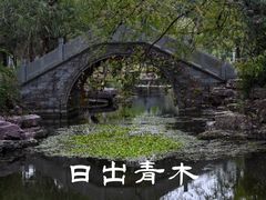 -日出青木