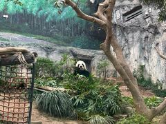 -石排湾郊野公园