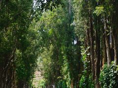 -广东外语外贸大学(白云山校区)