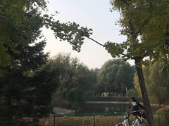 -长白岛森林公园
