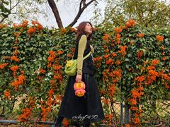 -东莞植物园