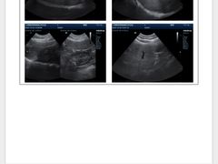 -爱侣宠医·鹦鹉专科·小型哺乳类·异宠专科(灵石路店)