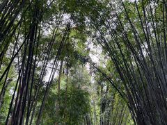 -成都杜甫草堂博物馆