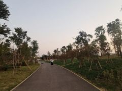 -瑶湖郊野森林公园