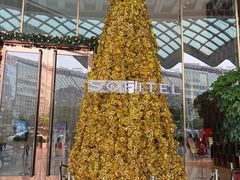 -圣丰索菲特·2 On 988 Café 自助餐厅