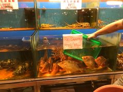 -真浪花园海鲜餐馆
