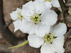 -天津东丽湖风景区