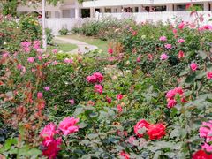 -人民公园(罗湖区)