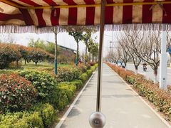 -洨河生态公园