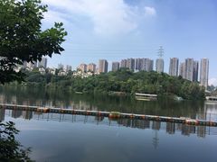 -重庆彩云湖湿地公园