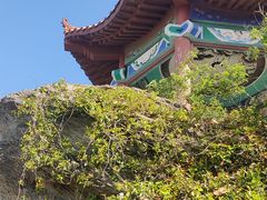 -大伊山景区