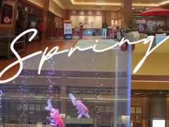 -大江户·温泉洗浴(浑南店)