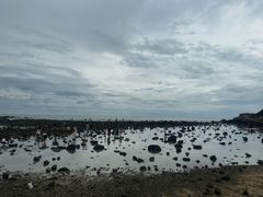 -三亚西岛海洋文化旅游区