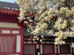 -大慈恩寺(大雁塔)