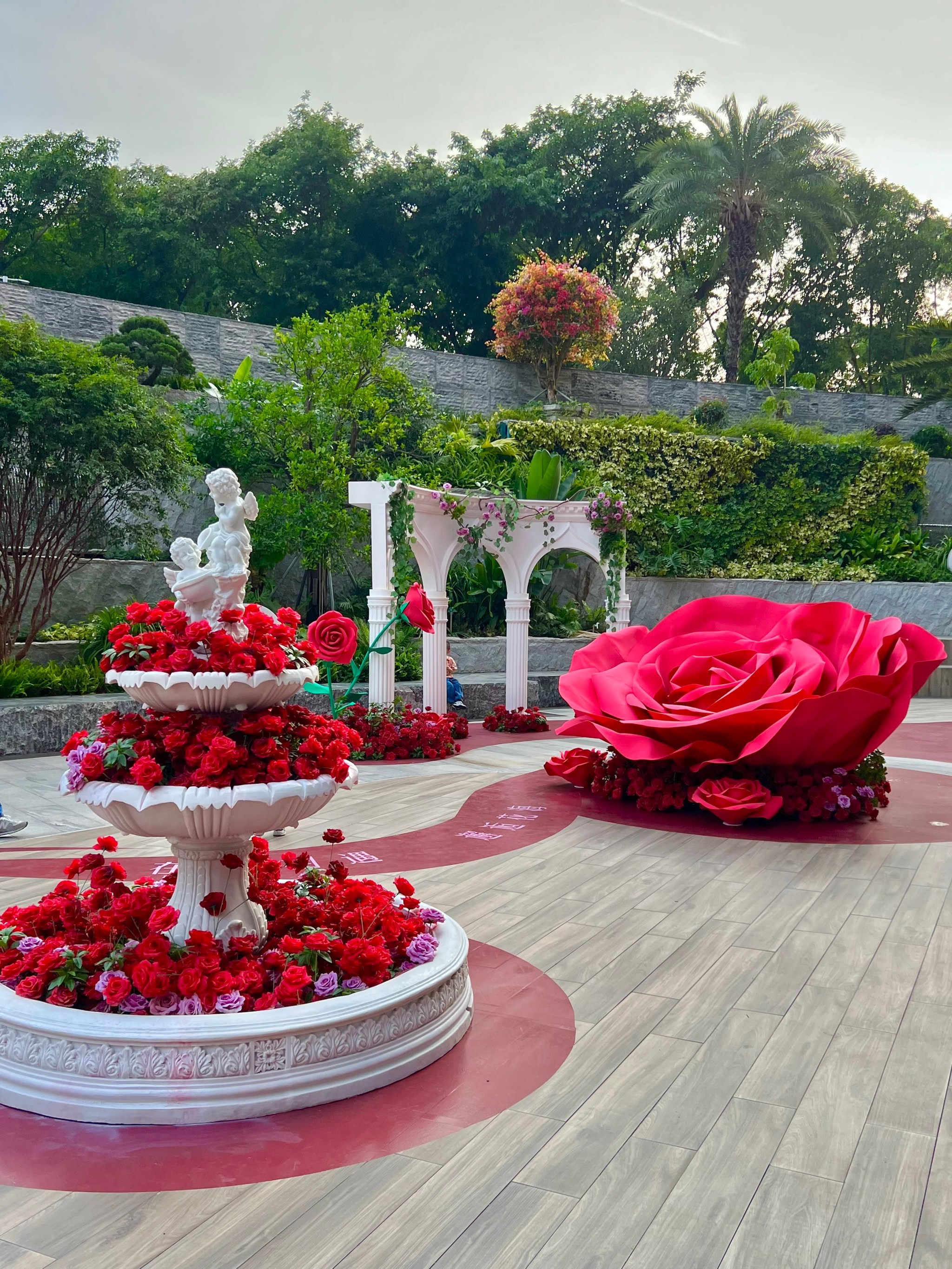 属于玫瑰的浪漫来了🌹