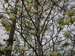 -杨高南路(地铁站)