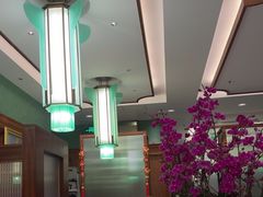 -蝶园·装修中(BFC外滩金融中心店)