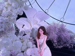-泓历皇朝酒店(东亭店)
