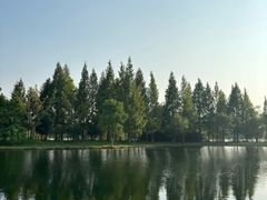 -苏州太湖国家湿地公园