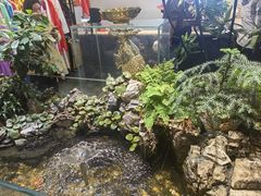 -豫丰汇河南名菜楼(武记餐饮)