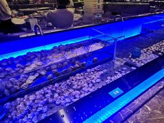 -韩京炭火烤肉自助料理(柯桥万达店)