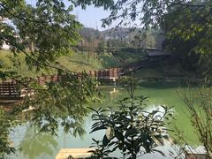 -铁山坪森林公园