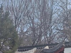 -贮水山儿童公园