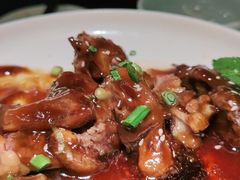 -大榕树下顺德菜(融创茂店)