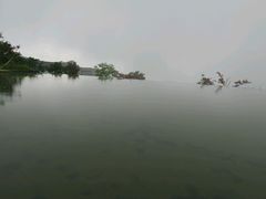 android_upload_pic-江南天池