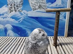 -成都浩海立方海洋公园
