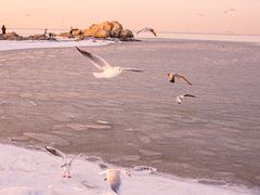 -老虎石海上公园