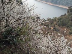 -广州市流溪河国家森林公园