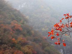 -周口店坡峰岭风景区