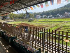-红山村