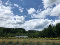-富田农场