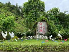 -广州白江湖森林公园