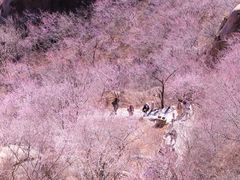 -北京凤凰岭