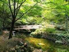 -孤山寨风景区