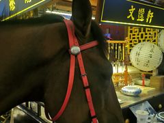 -南楚古都