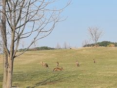 -良渚古城遗址公园