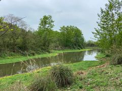 -桤木河湿地公园