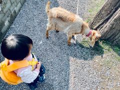 -前小桔亲子创意农场·草莓采摘·露营烧烤